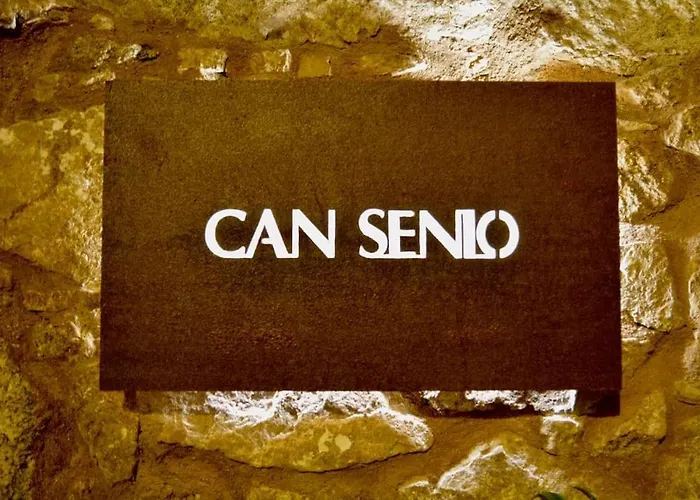 Apartment Senio 2 Tossa de Mar